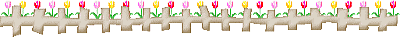 lin