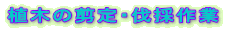 �A�؂̙���E���̍��