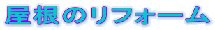 �����̃��t�H�[��